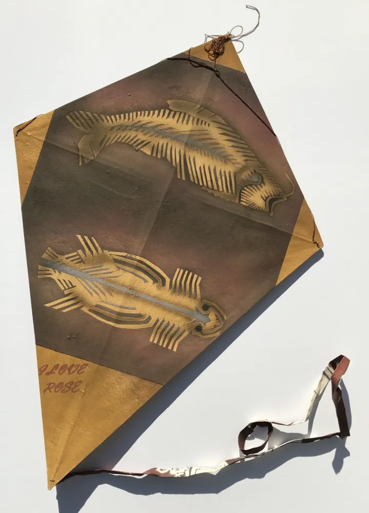 Geen Techniek Toledo - Fish and Turtle Kite