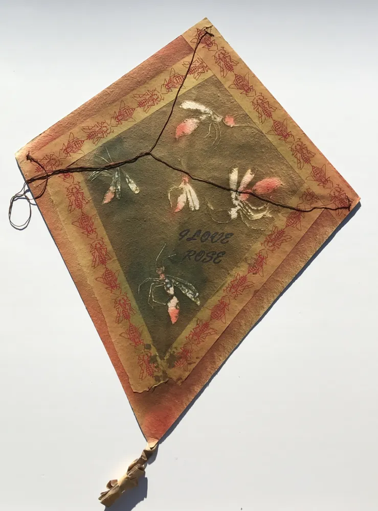 Geen Techniek Toledo - Mosquitos Kite