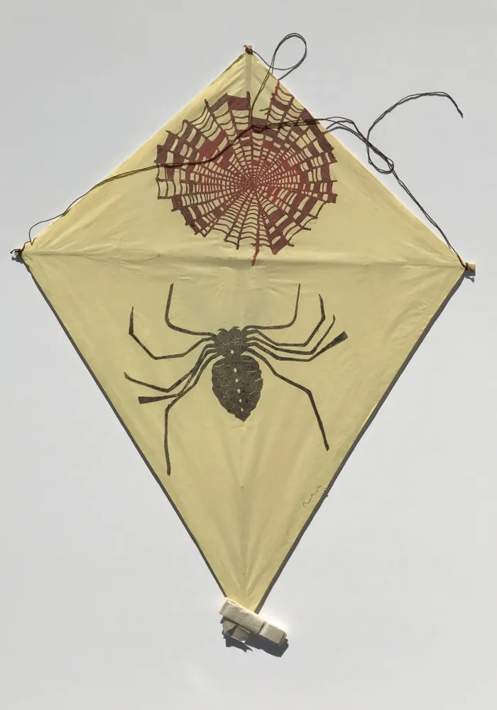 Geen Techniek Toledo - Spider and Web Kite