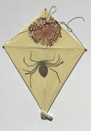 Geen Techniek Toledo - Spider and Web Kite
