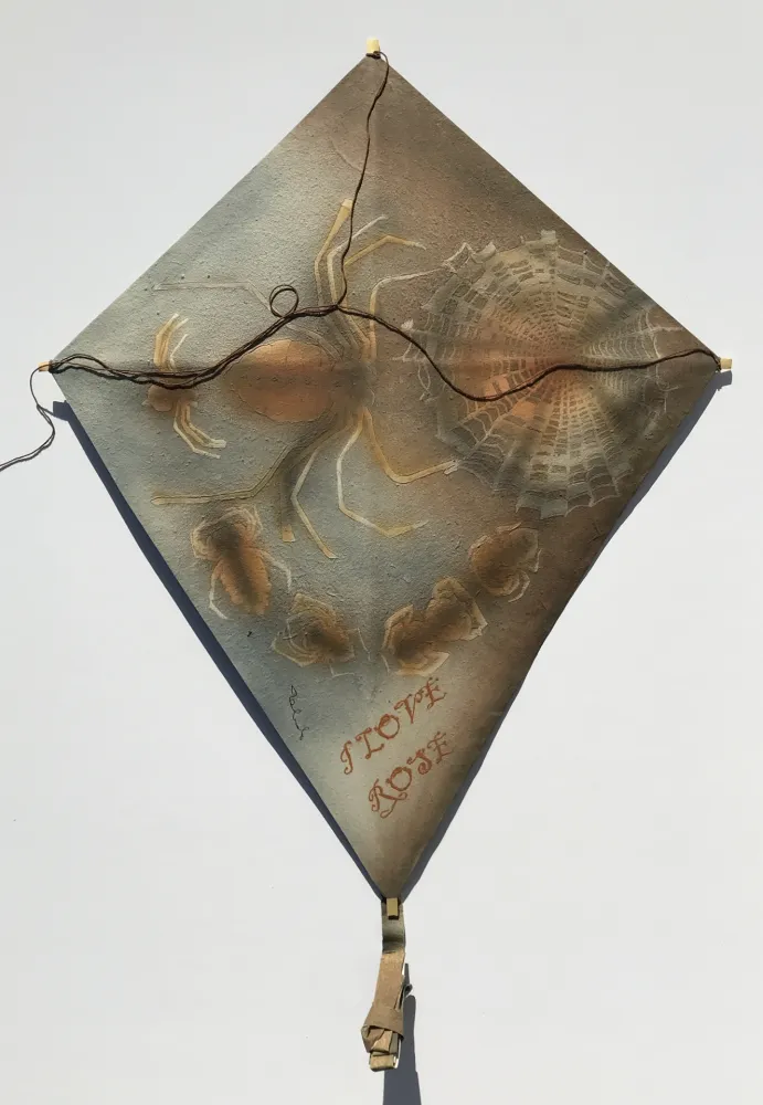 Geen Techniek Toledo - Spiders with Web Kite