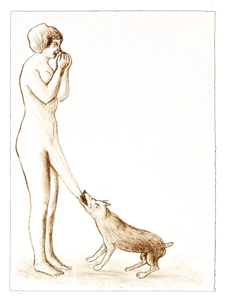 Lithografie Topor - 2 Neuf Grâces