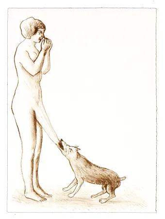 Lithografie Topor - 2 Neuf Grâces