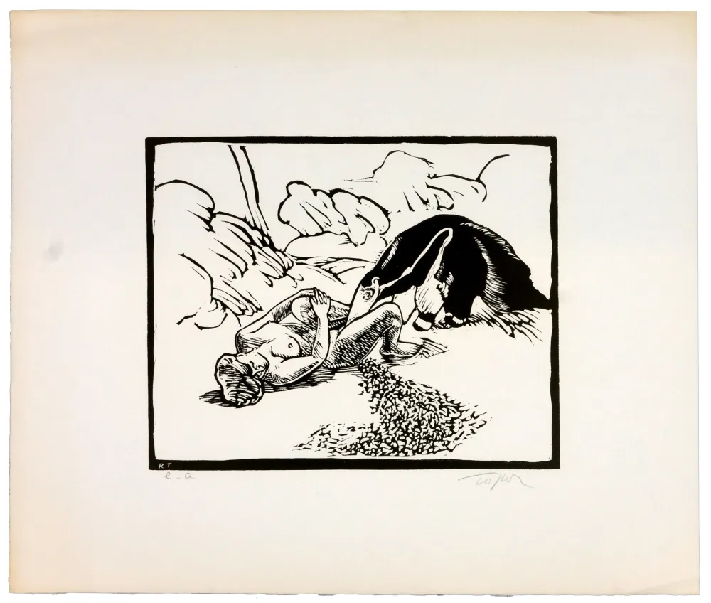 Linosnede Topor - Le fourmillier