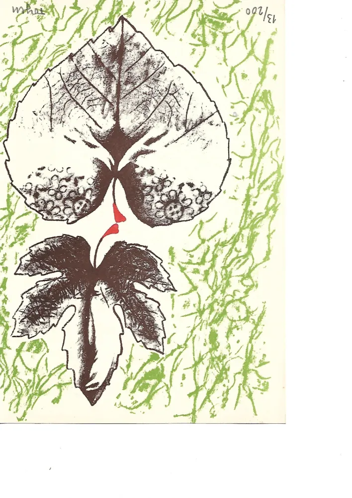 Lithografie Toyen -  Krabicka prvni pomoci - Boîte alerte (1959)