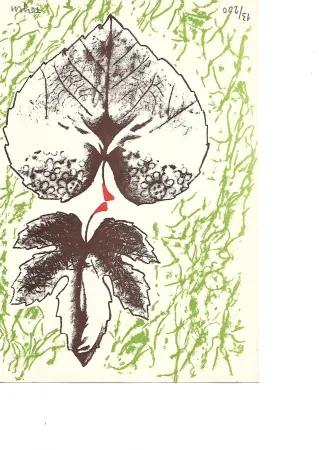 Lithografie Toyen -  Krabicka prvni pomoci - Boîte alerte (1959)
