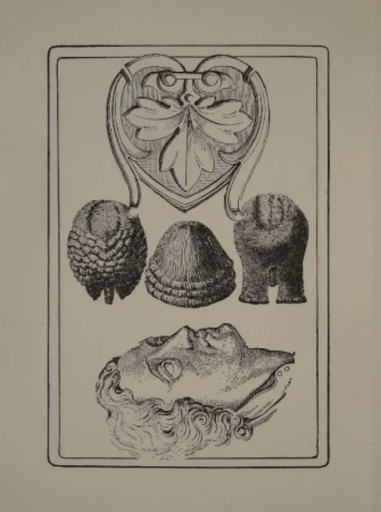 Geïllustreerd Boek Toyen - Le Roi Gordogane