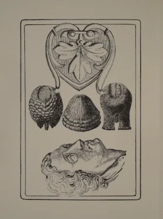Geïllustreerd Boek Toyen - Le Roi Gordogane