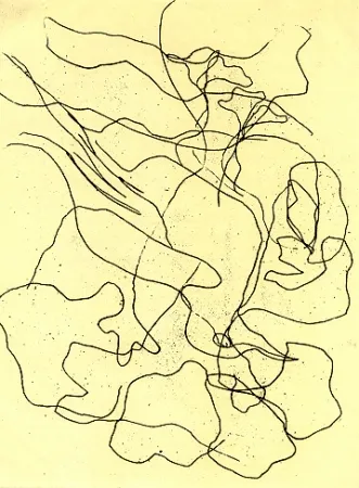 Geïllustreerd Boek Treccani - Il cimitero marino