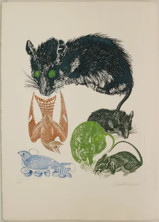 Ets Trubbiani - Senza titolo