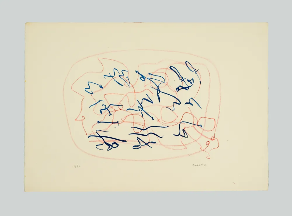 Lithografie Turcato - Composizione