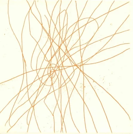 Geïllustreerd Boek Turcato - Poesie giovanili