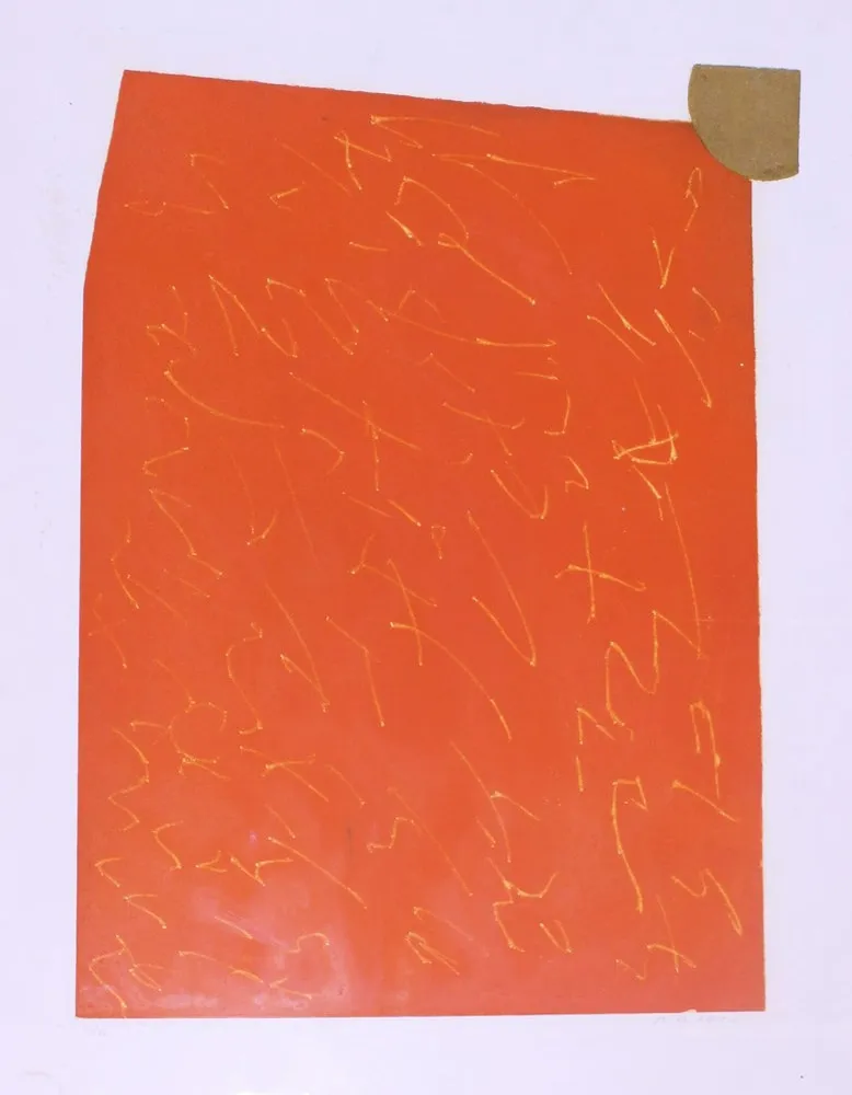 Zeefdruk Turcato - SENZA TITOLO