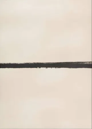 Zeefdruk Turk - Cycle Line