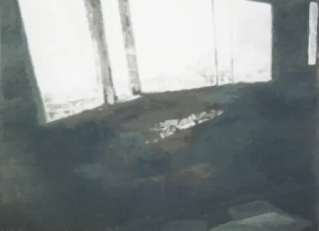 Zeefdruk Tuymans - Fenêtres