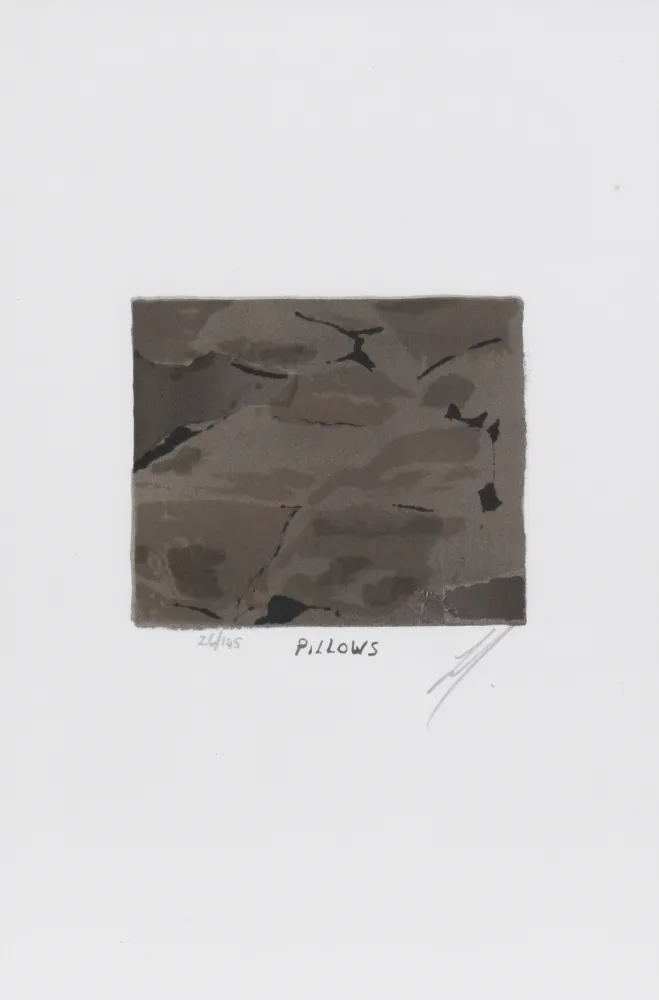 Lithografie Tuymans - Pillows