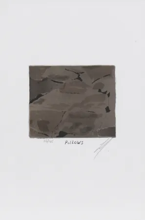 Lithografie Tuymans - Pillows