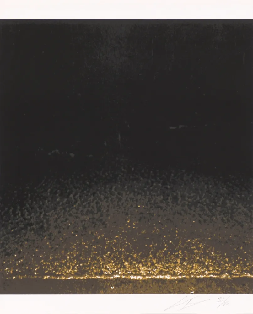 Zeefdruk Tuymans - Shore