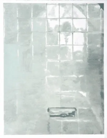 Zeefdruk Tuymans - Tiles