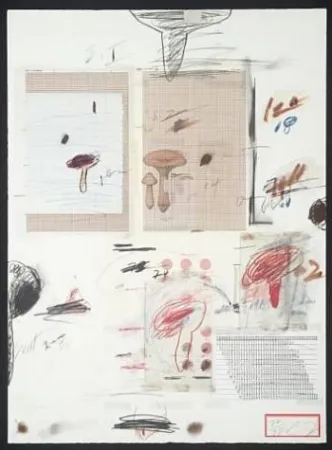 Lithografie Twombly - Natural History Part I: Mushrooms IV