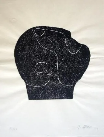 Geïllustreerd Boek Ubac - Comme un sol plus obscur