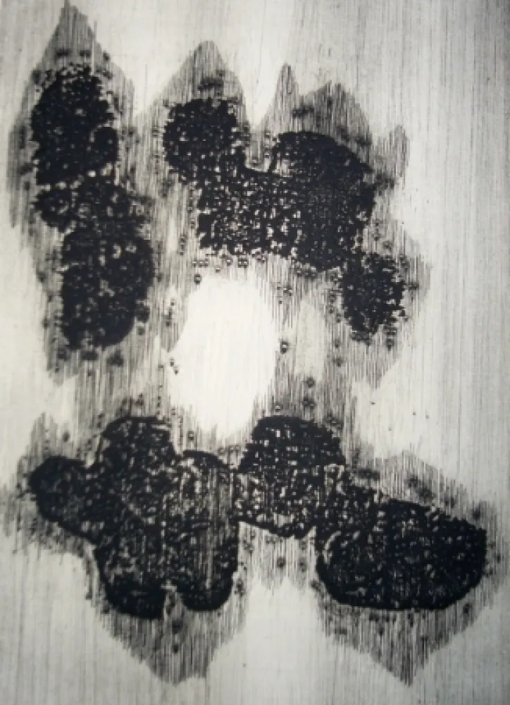 Geïllustreerd Boek Ubac - Lisière du devenir