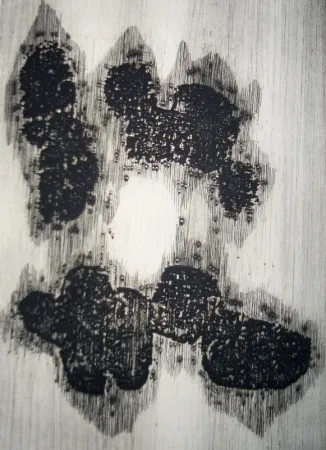 Geïllustreerd Boek Ubac - Lisière du devenir