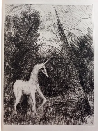 Ets Unknown - Bestiaire avec 14 eaux-fortes de Pedro Zamorano de Biedma Kerdyk, René (Pedro Zamorano de Biedma) (Léon-Paul Fargue)