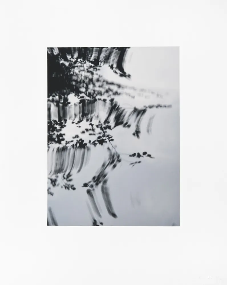 Digitale Print Usle - Pisuena