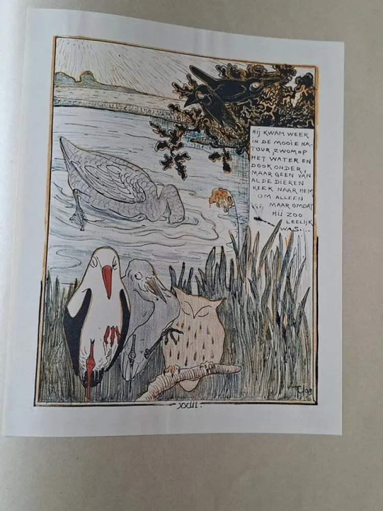 Geïllustreerd Boek Van Hoytema - Het leelijke jonge Eendje