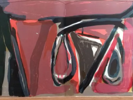 Geïllustreerd Boek Van Velde - DLM 250