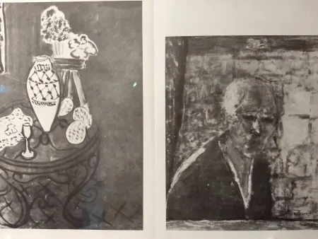 Geïllustreerd Boek Van Velde - DLM no1