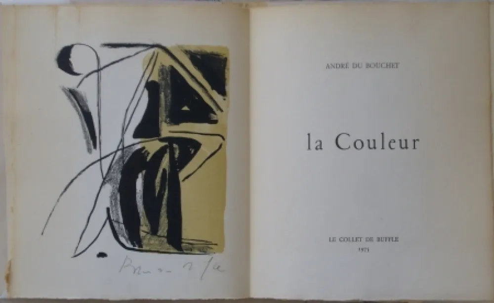 Lithografie Van Velde - La couleur