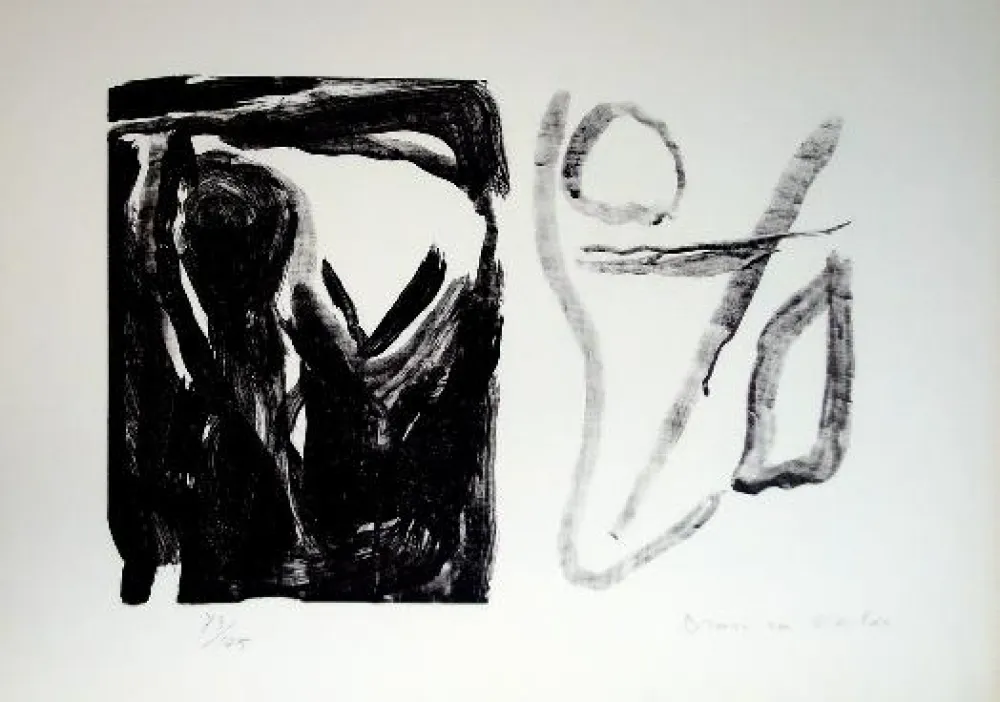 Lithografie Van Velde - MP 16