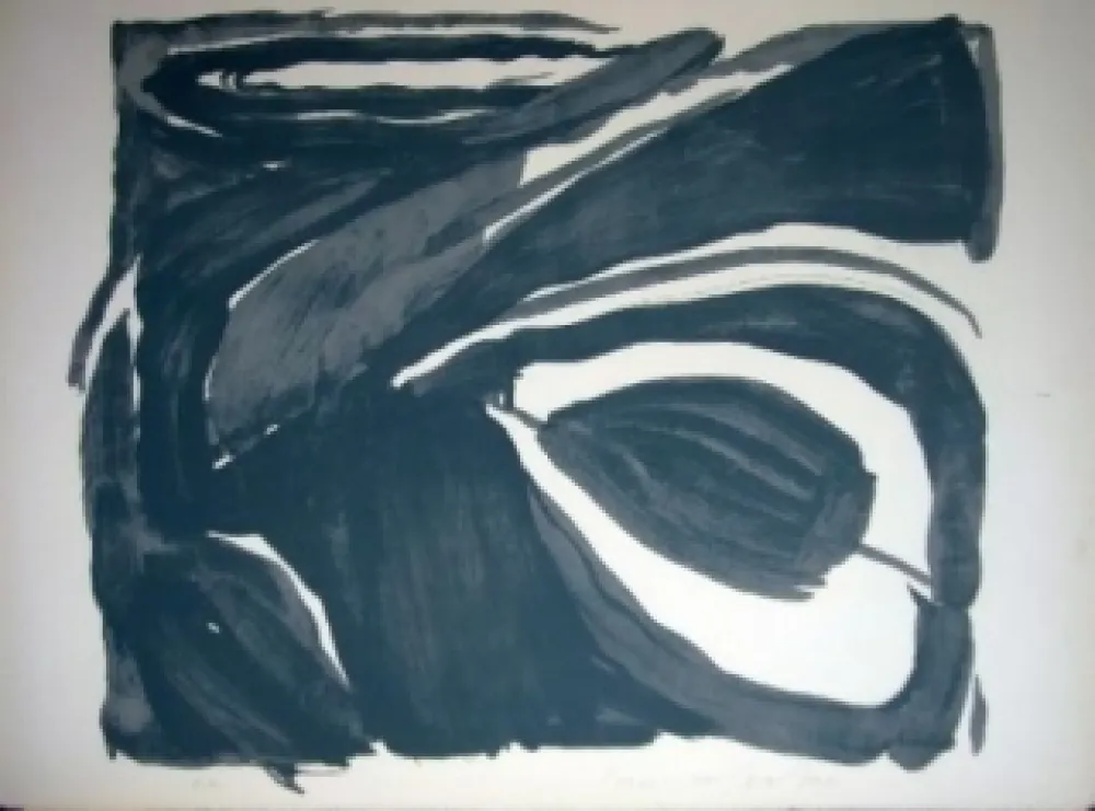 Lithografie Van Velde - MP42 