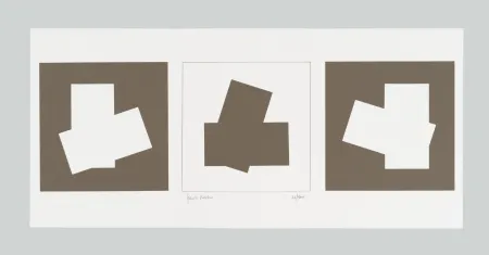 Zeefdruk Varisco - Composizione