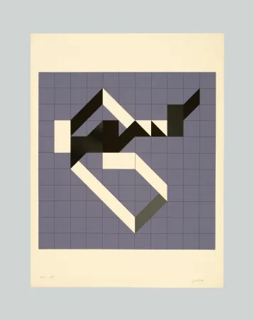 Zeefdruk Varisco - Random walks (Tav. B)