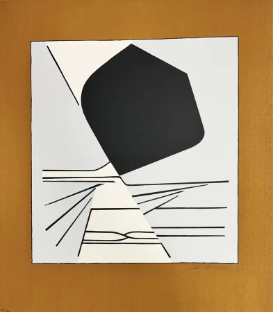 Zeefdruk Vasarely - Latorça