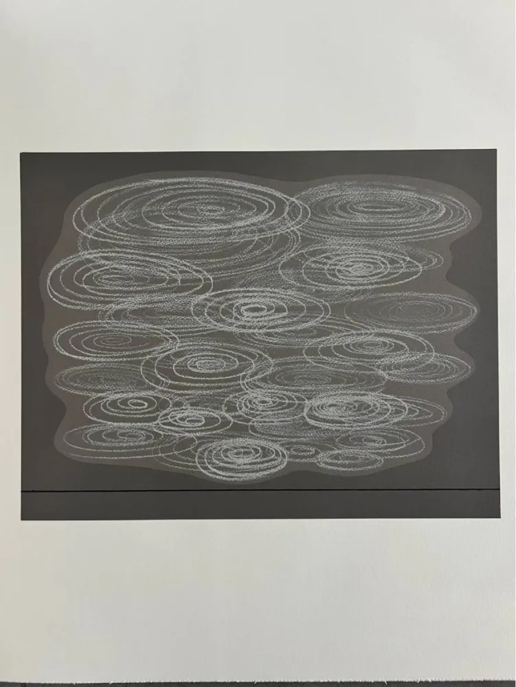 Lithografie Vasarely - Locmaria