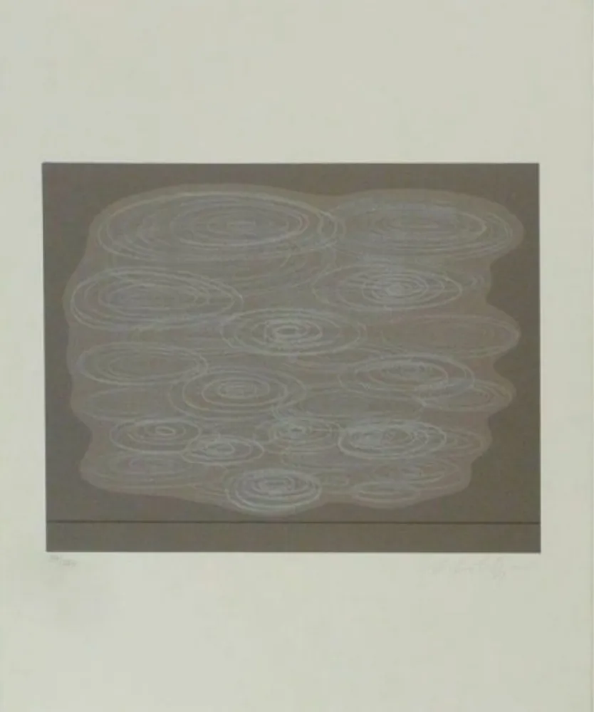 Zeefdruk Vasarely - Locmaria