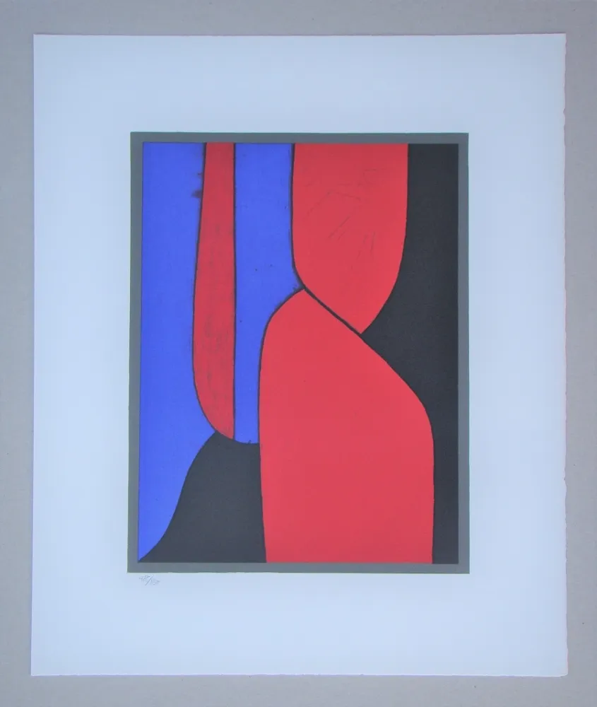 Lithografie Vasarely - Ménerbes