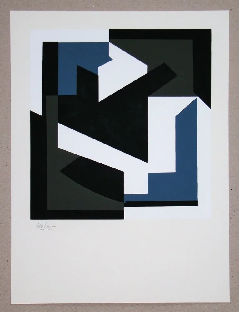 Zeefdruk Vasarely - Olbio II.