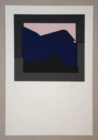 Zeefdruk Vasarely - Poprad