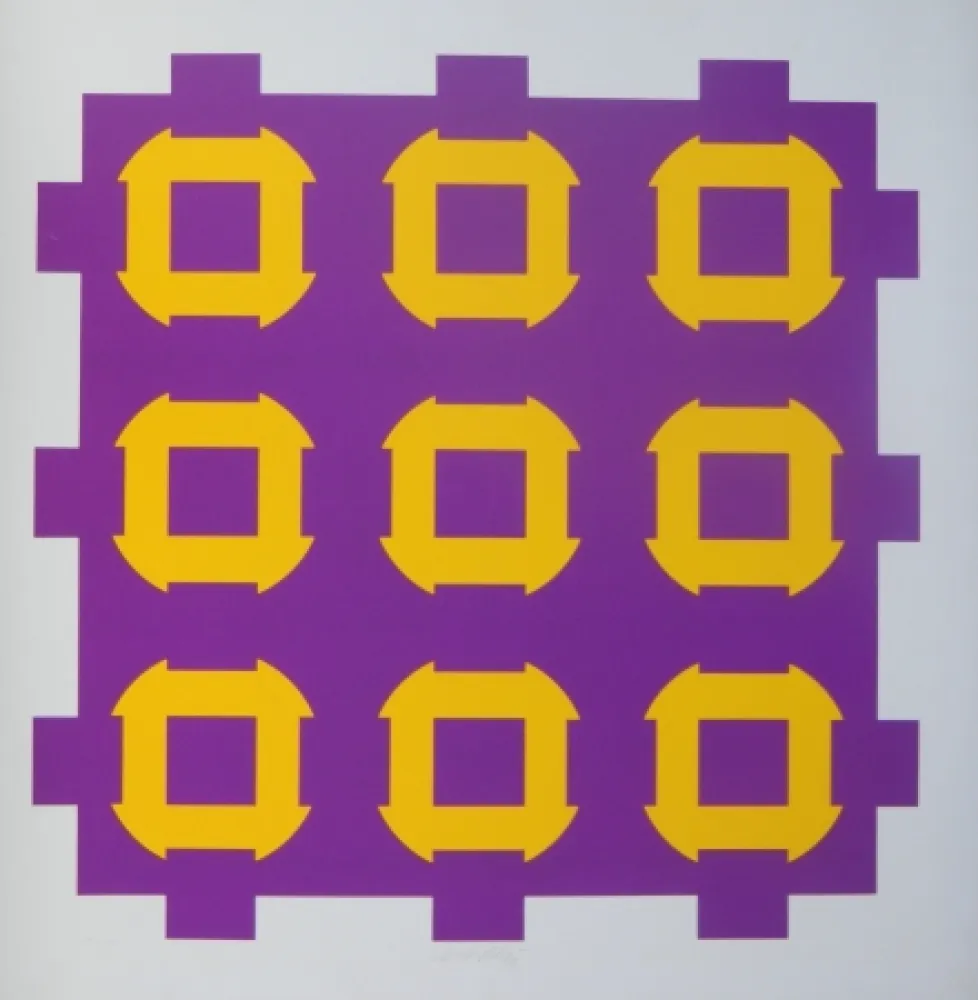 Zeefdruk Vasarely - Procion C