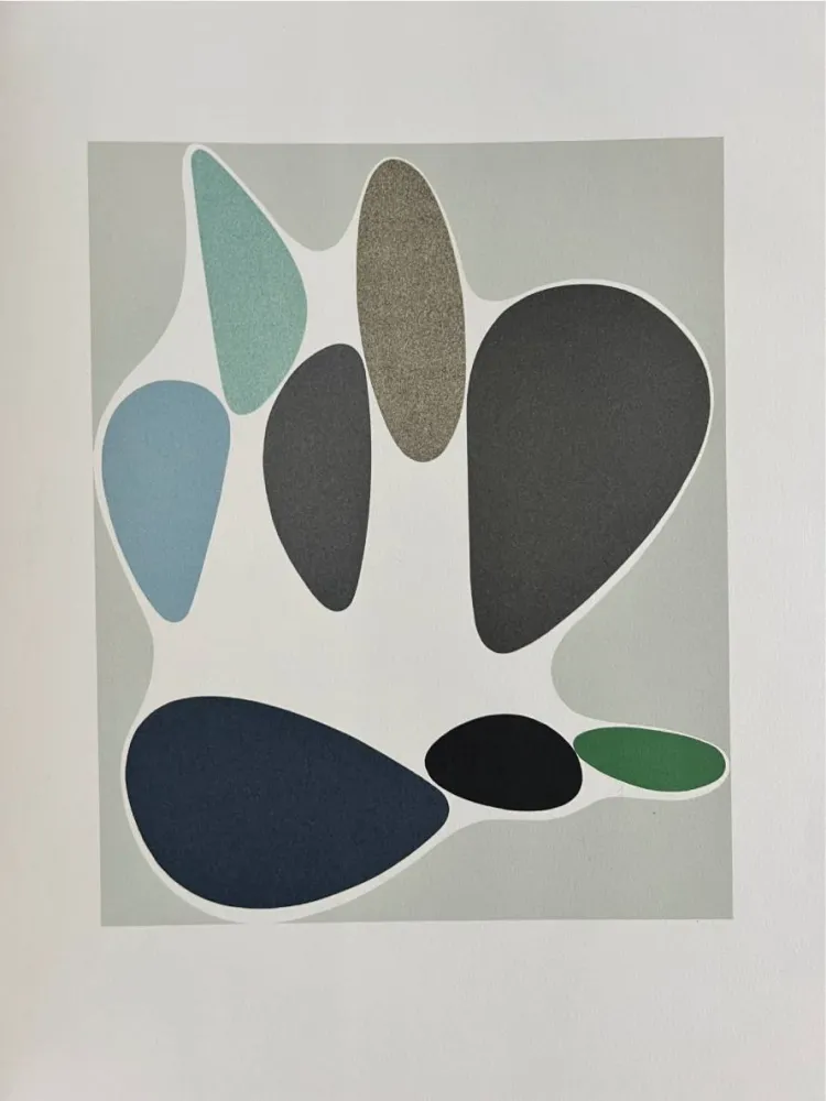 Lithografie Vasarely - Sauzon