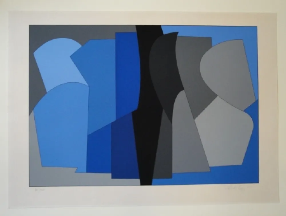 Zeefdruk Vasarely - Siris Kek