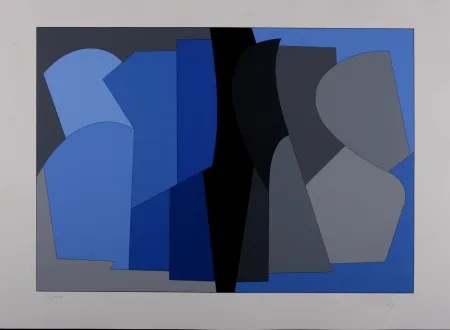 Zeefdruk Vasarely - Siris Kek