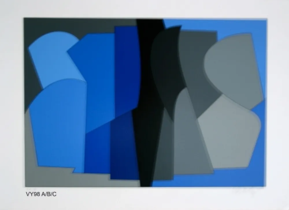 Zeefdruk Vasarely - Siris kek