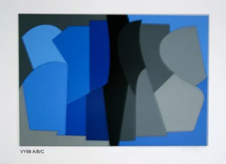 Zeefdruk Vasarely - Siris kek