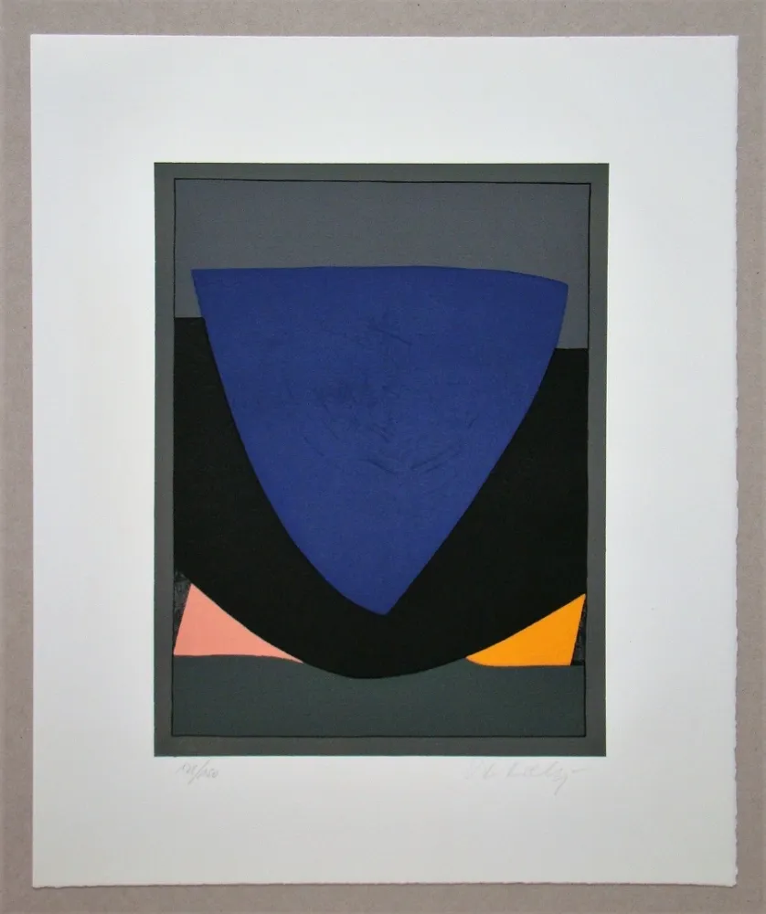 Lithografie Vasarely - Tecoma